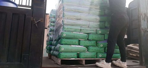江苏水泥专用修复材料价格分析与市场趋势