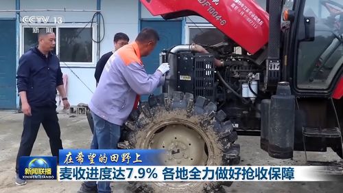 全国麦收进度达7.9%，各地全力做好抢收保障，江苏维修服务成亮点